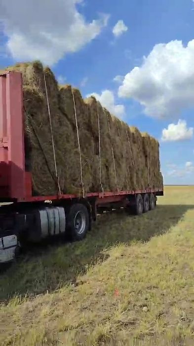 Покос 2025. разнотравье с доставкой в рулонах