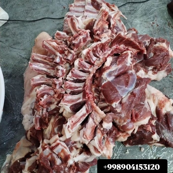 Qassob servis  Siz izlagan Tam va sifat uygʻunligi