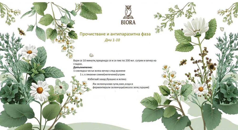 Прочистване и антипаразитна терапия на стомашно-чревния тракт