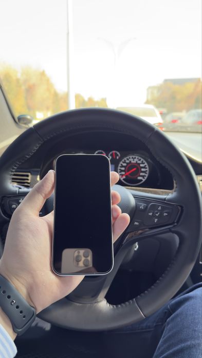 17 pro 256 sim silver