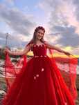 Program Zane Ursitoare Dambovita (Dans oriental, ursit, hostess)