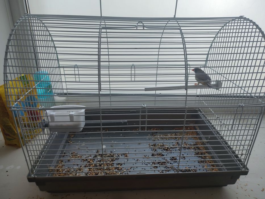 клетка для попугая или канарейки
