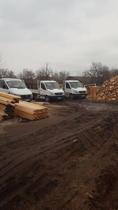 Lemn de foc fag.Depozit Ulmeni