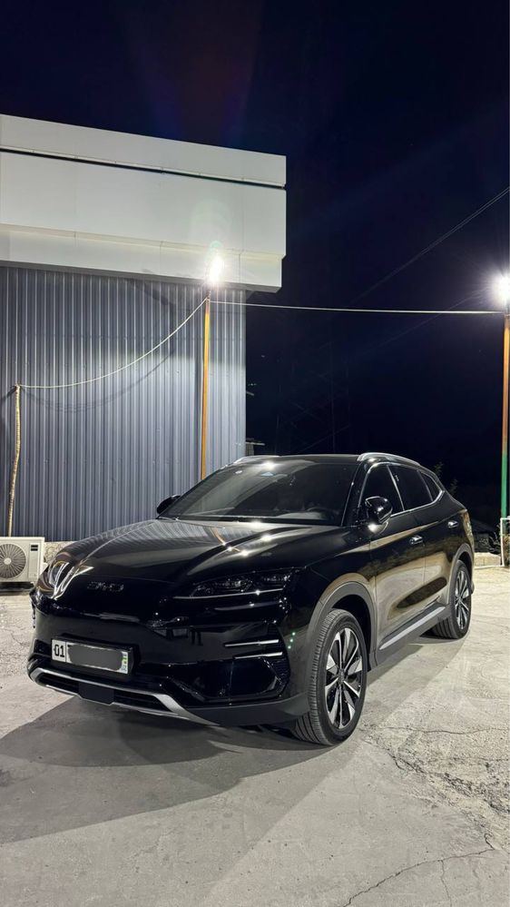 Byd Chempion Restailing 2024