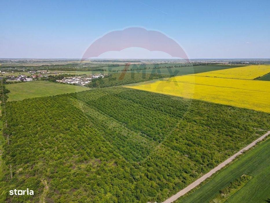 Vanzare Teren Constructii Adunatii-Copaceni, Deschidere Directa la DN5