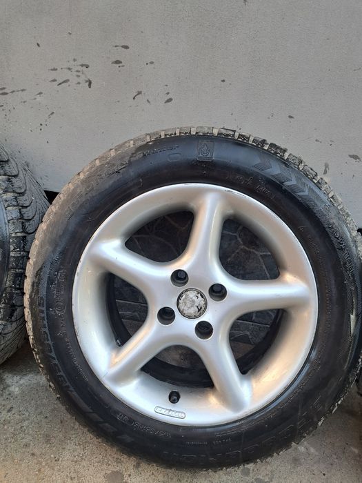 Roti de iarnă.  4x100   R15