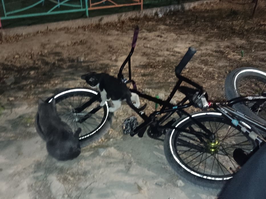 Продам бмх ашан продается без выноса (часть которая держит руль)