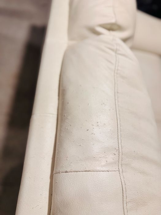 Двуместен диван от естествена кожа