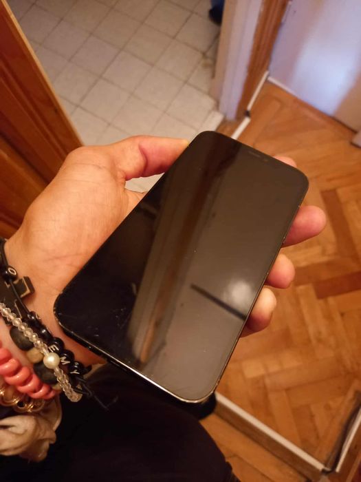 12 pro utilizat sanatatea bateriei 81