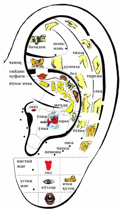 Аппараты "Тянь-Шань"  - для диагностики и лечения