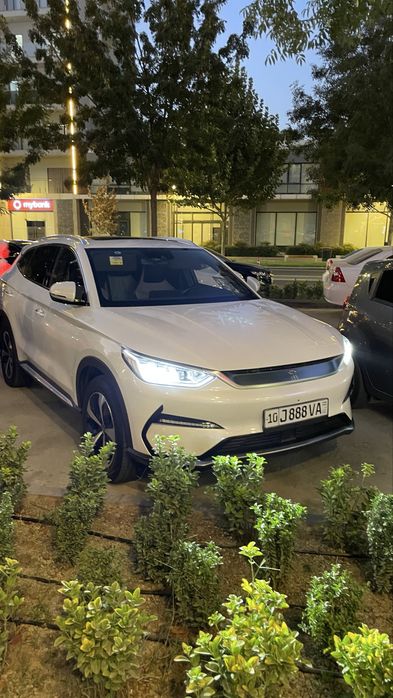 BYD узимни машинам краска тозза  сотаман