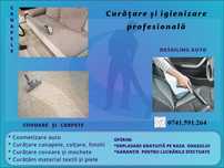 Curățare cosmetizare igienizare canapele coltare saltele.