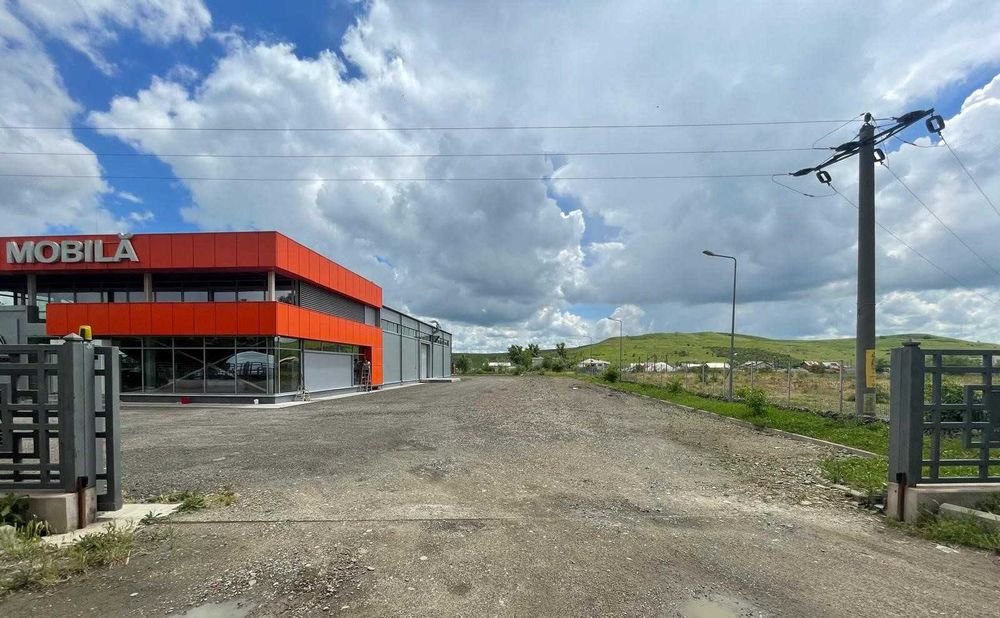 Depozitare/productie/birouri de inchiriat in Tg. Frumos, jud. Iasi