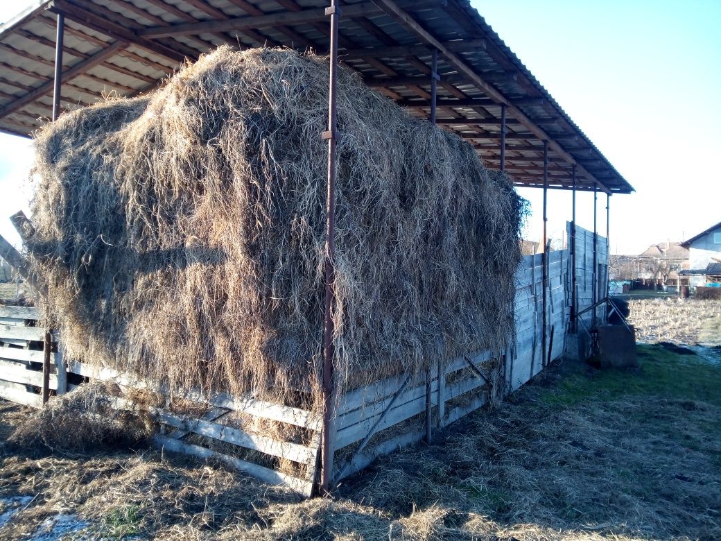 Vând lucerna și fan