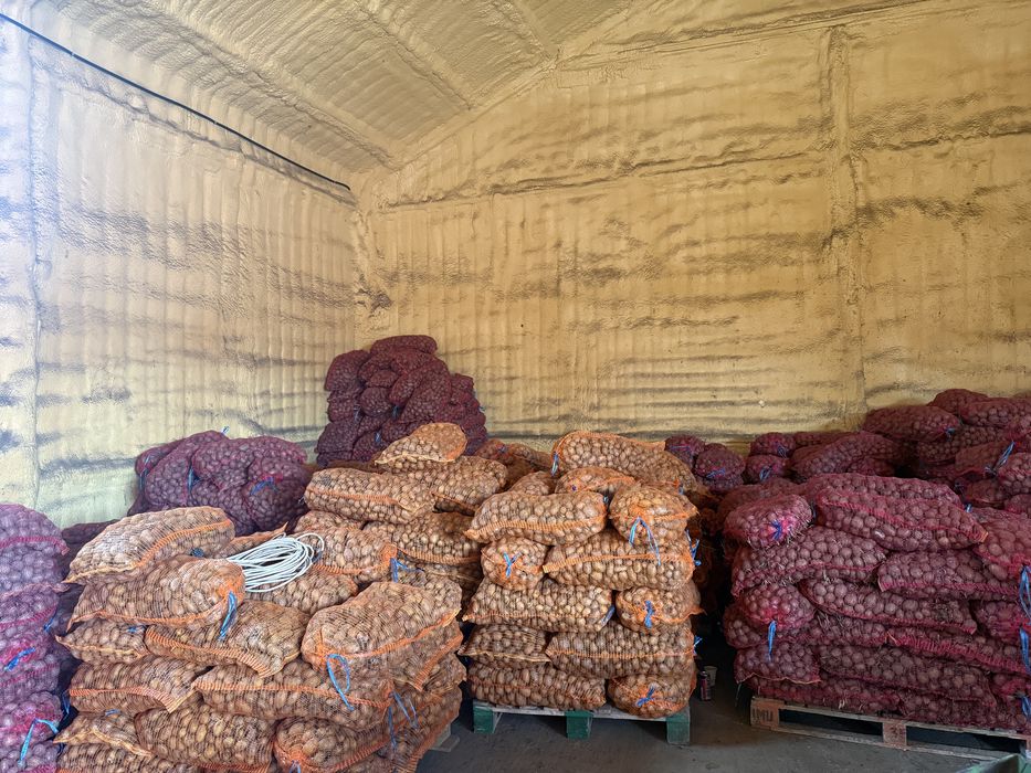 Cartofi de samanta sau animale