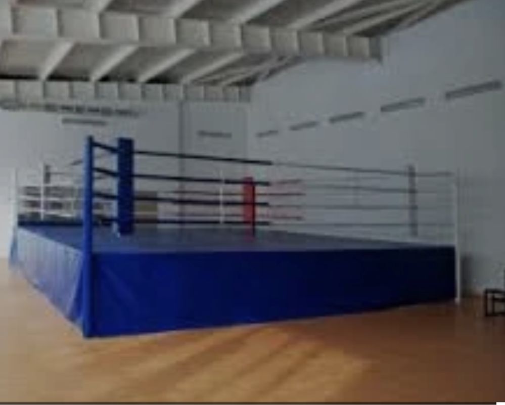 Ринг боксерский на растяжках 5х5 м доставка по всей стране
