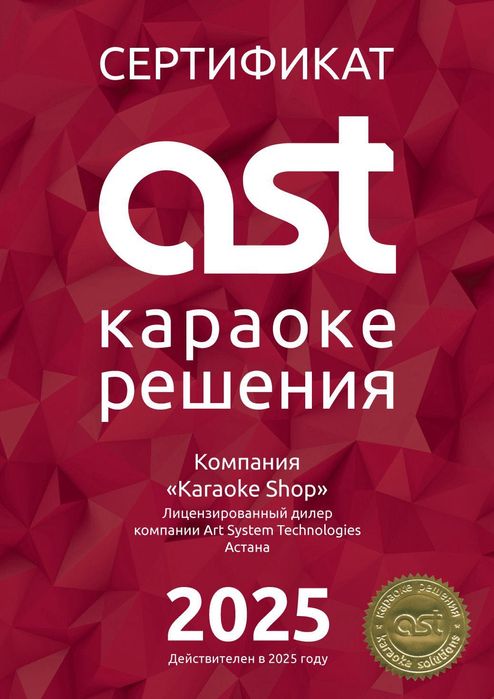 Караоке-система AST ZOOM