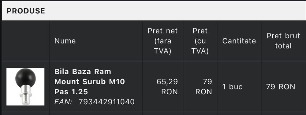 Bilă baza RAM mount