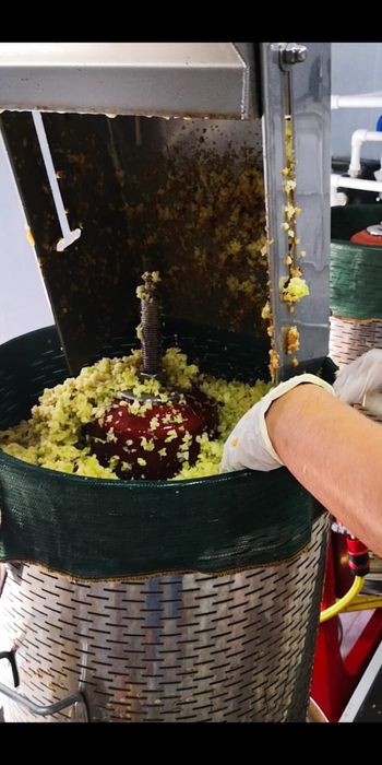 Linie profesionala procesare fructe si legume in suc natural