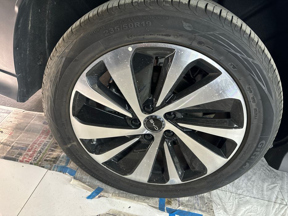 Byd chempion diska balon zapaskaga