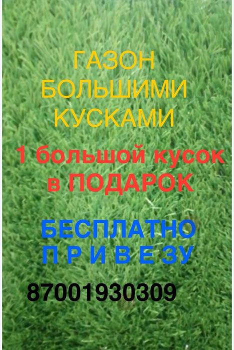 Зеленая зона детям