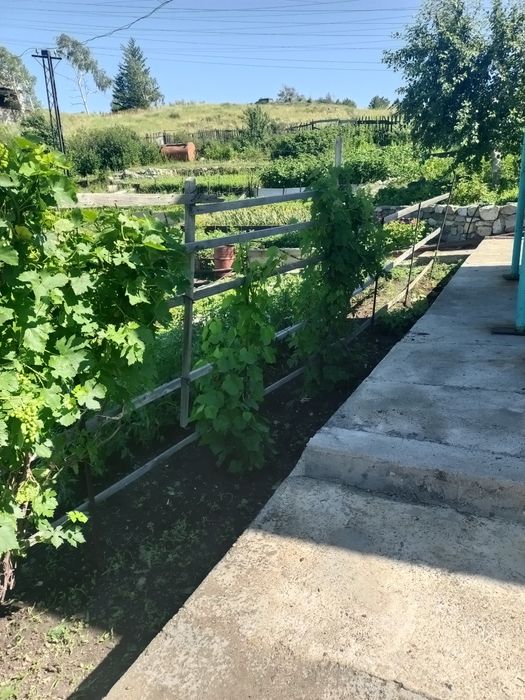 Продам  ухоженую дачу на Аблакетке.