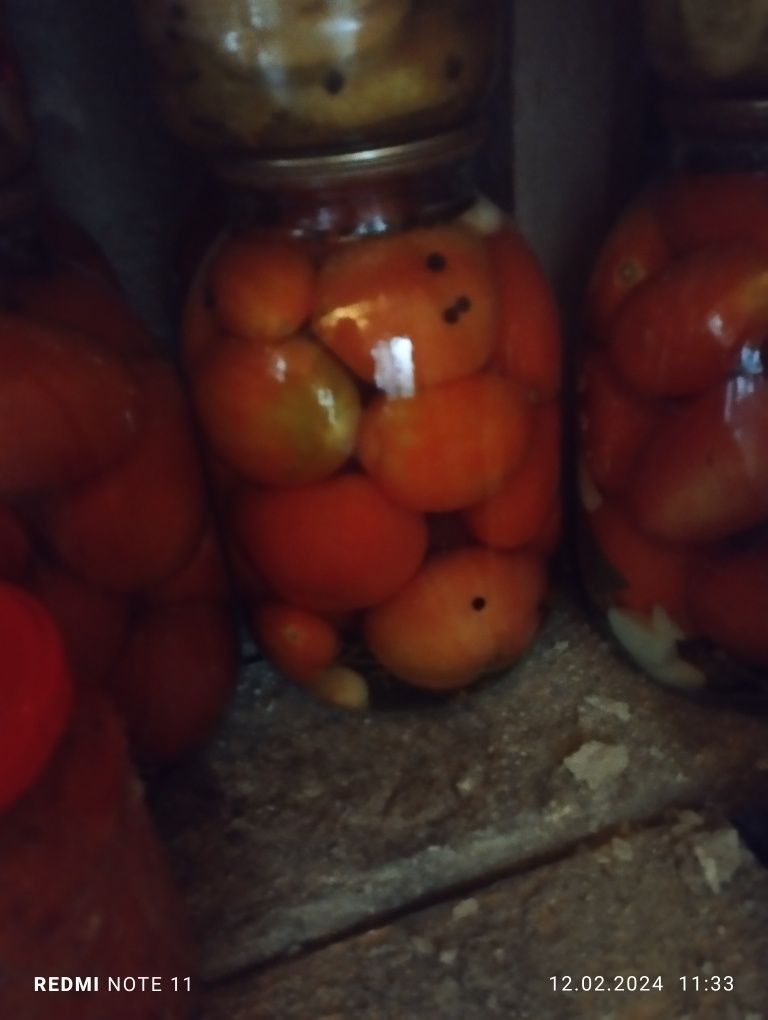 Помидорки не кислые