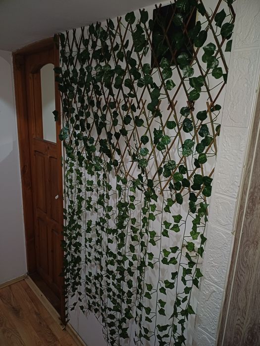 Planta decorativa perete