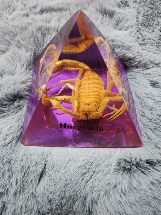 Piramida Egipt scarabeu