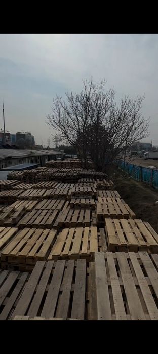 Паддони,Палет,Поддон,Полет,Paddon,Padon,Падон,Поддон,