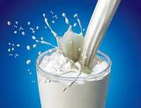 Produse lactate din lapte de vaca lapte 3 l litru