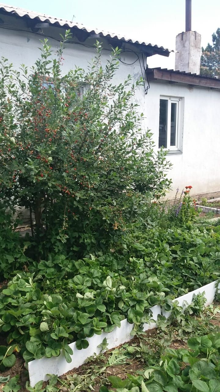 Продается дом все центральное. С мебелью. Бани нетсайдинга нет. .