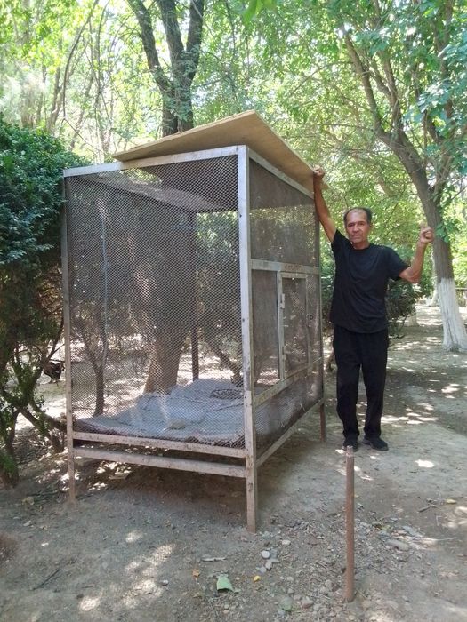 Кафас  сотилади срочна пул зарил