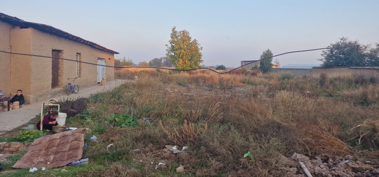 16 cotix tayyor uchastka
