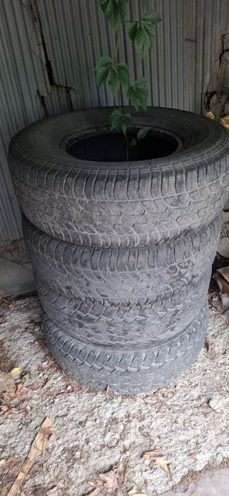 Резина Terrena А/Т Centara . 31/10.50 r15