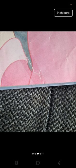 Doamna si vagabondul