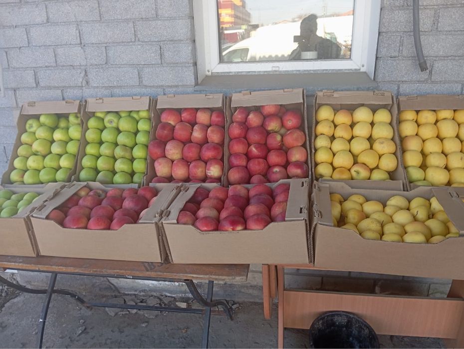 Продам фрукты/овощи