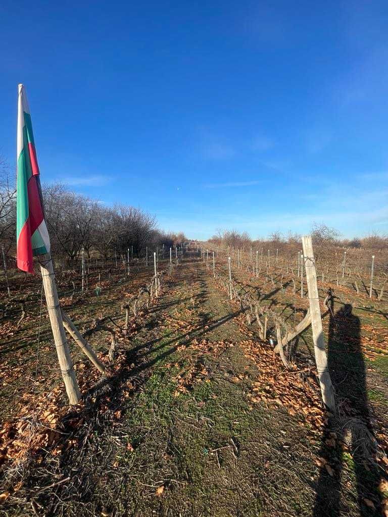 Продава се Парцел в с. Белащица, Област Пловдив - 2600 кв.м за 16 €/кв.м - Снимка #2