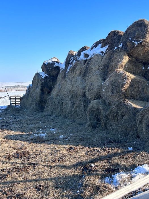 Рулон сатылады