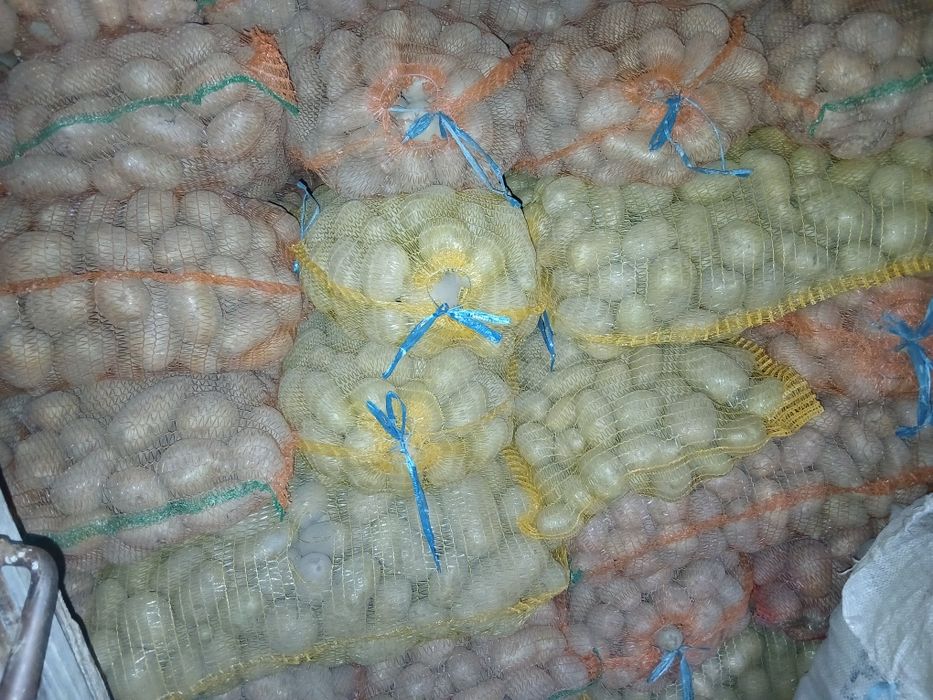 Vând cartofi consum