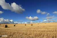 5 hectare teren agricol Arad zona Vest acces direct la DN7