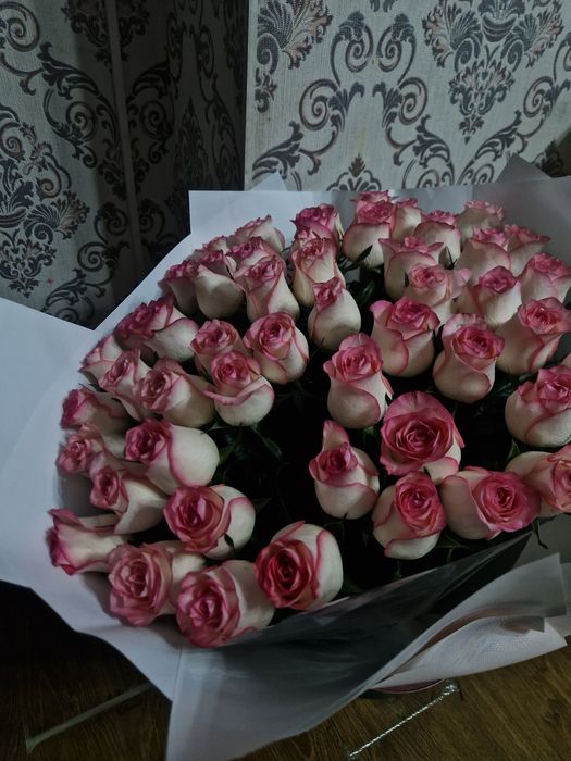 Розы Голланднские