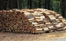 Vand lemne pentru foc!