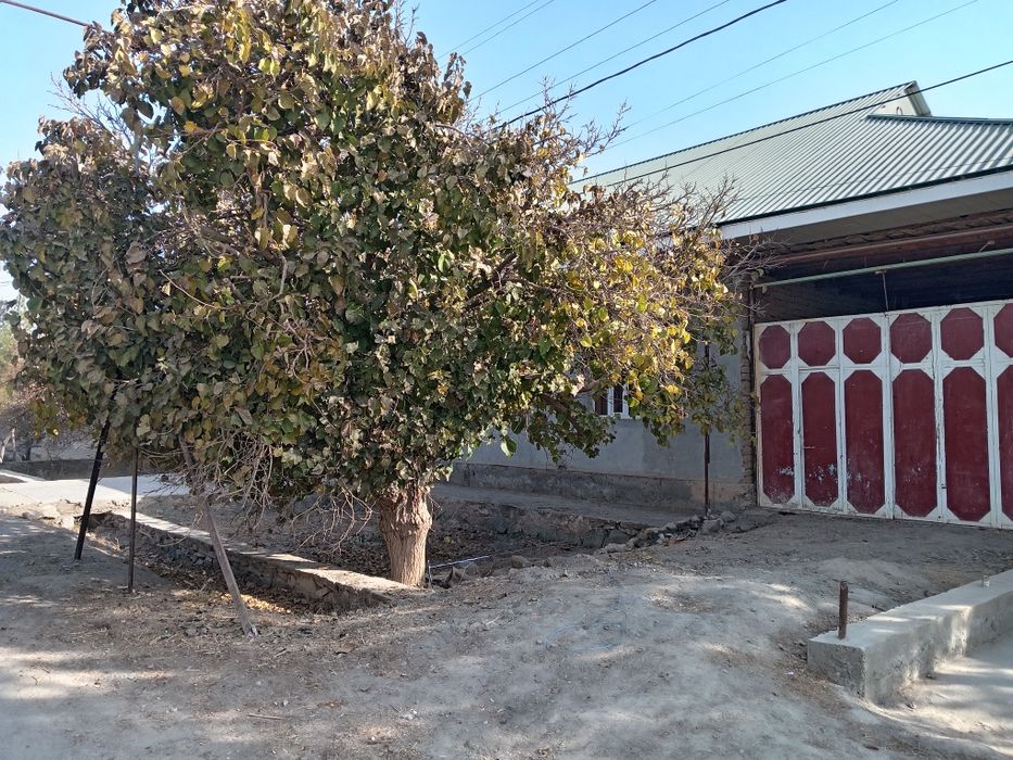 Hovli sotiladi ‼️