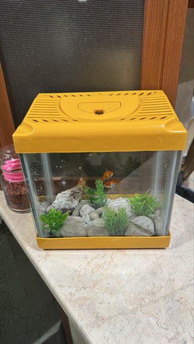 2 бр. аквариум с помпи и рибки