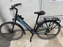 Bicicleta trek.