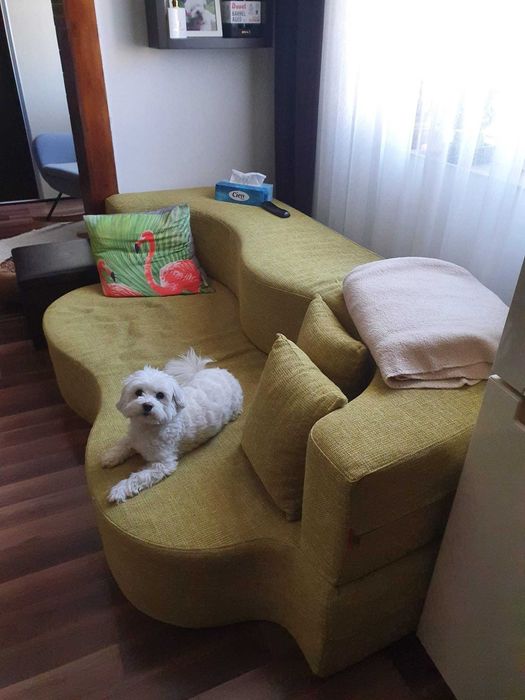 Canapea modernă verde măsliniu – formă unică, confortabilă și elegantă