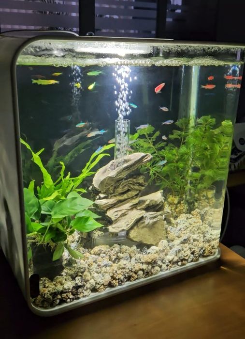 Acvariu Biorb Flow 30 de L