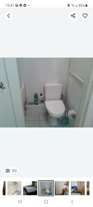 Сампи,Культуры инсит.Студентке .1/4/4