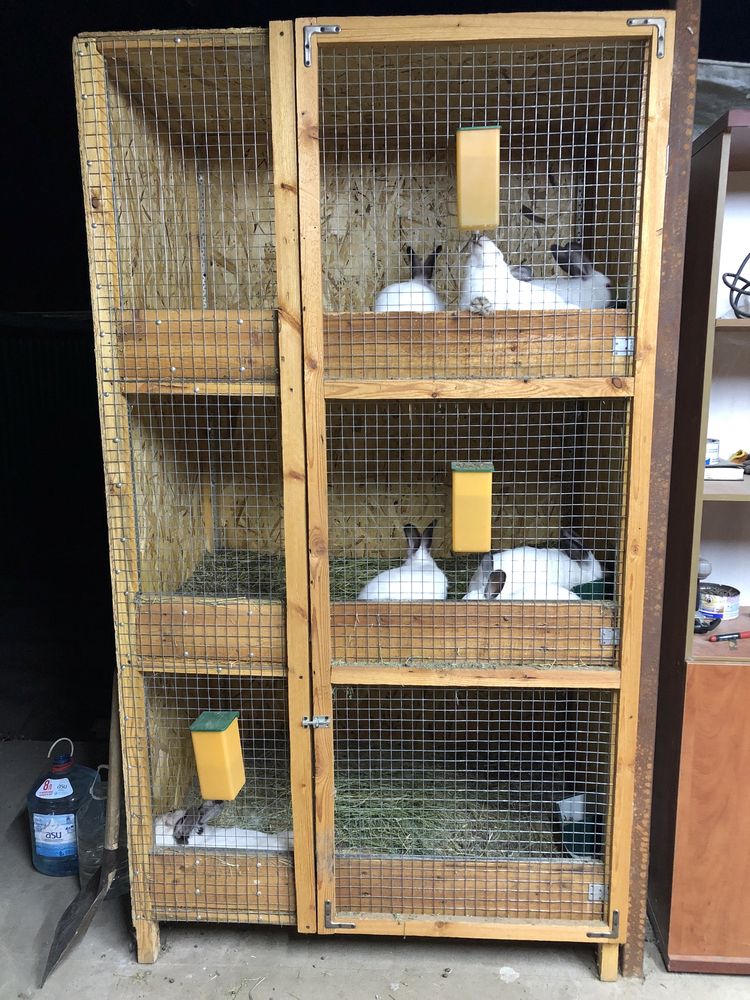 Клетки для кроликов продам